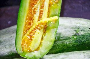 网红吃瓜赵露丝,网红吃瓜界的风云人物  第3张